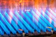 Caermead gas fired boilers